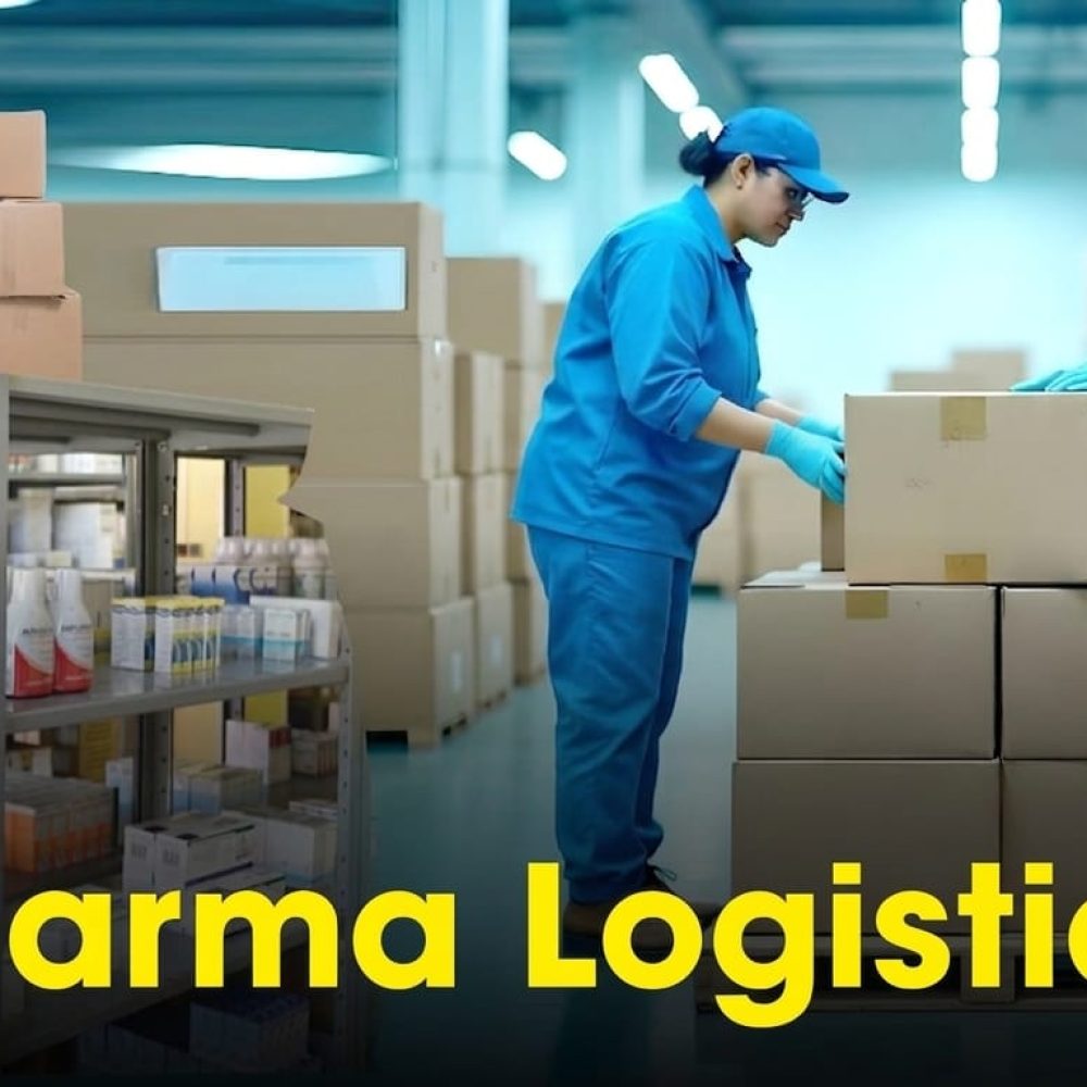 WhatsApp Image 2026-04-02 at 14.31.01